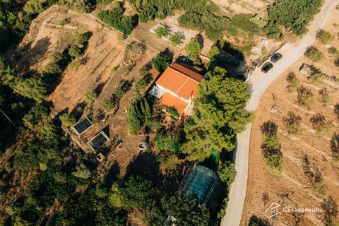 Landejendom i Sierra Engarceran, Castellon, Sierra Engarceran - € 300.000 | Ref: 903 - foto 46